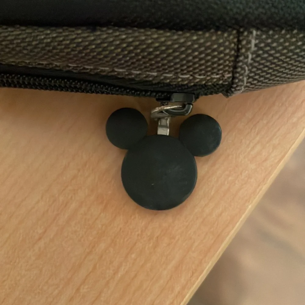 Disney Camera bag
